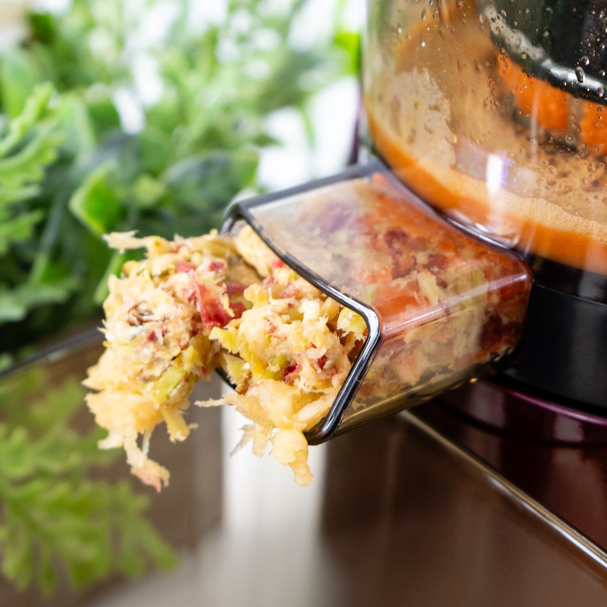 Nebula Grande Slow Juicer Nebula Grande Slow Juicer