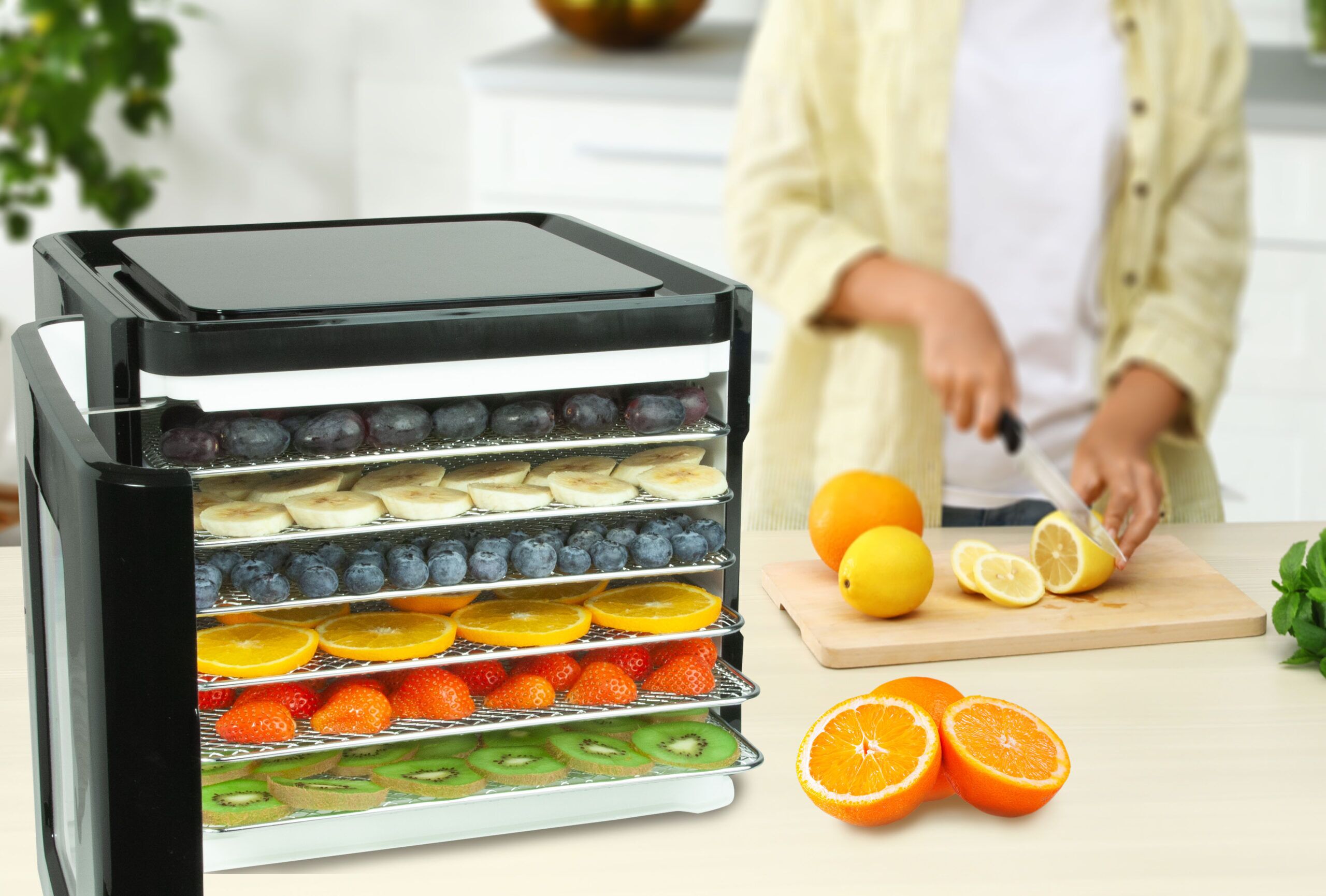 Nebula Food Dehydrator with 6 Stainless Steel Trays Nebula Food Dehydrator