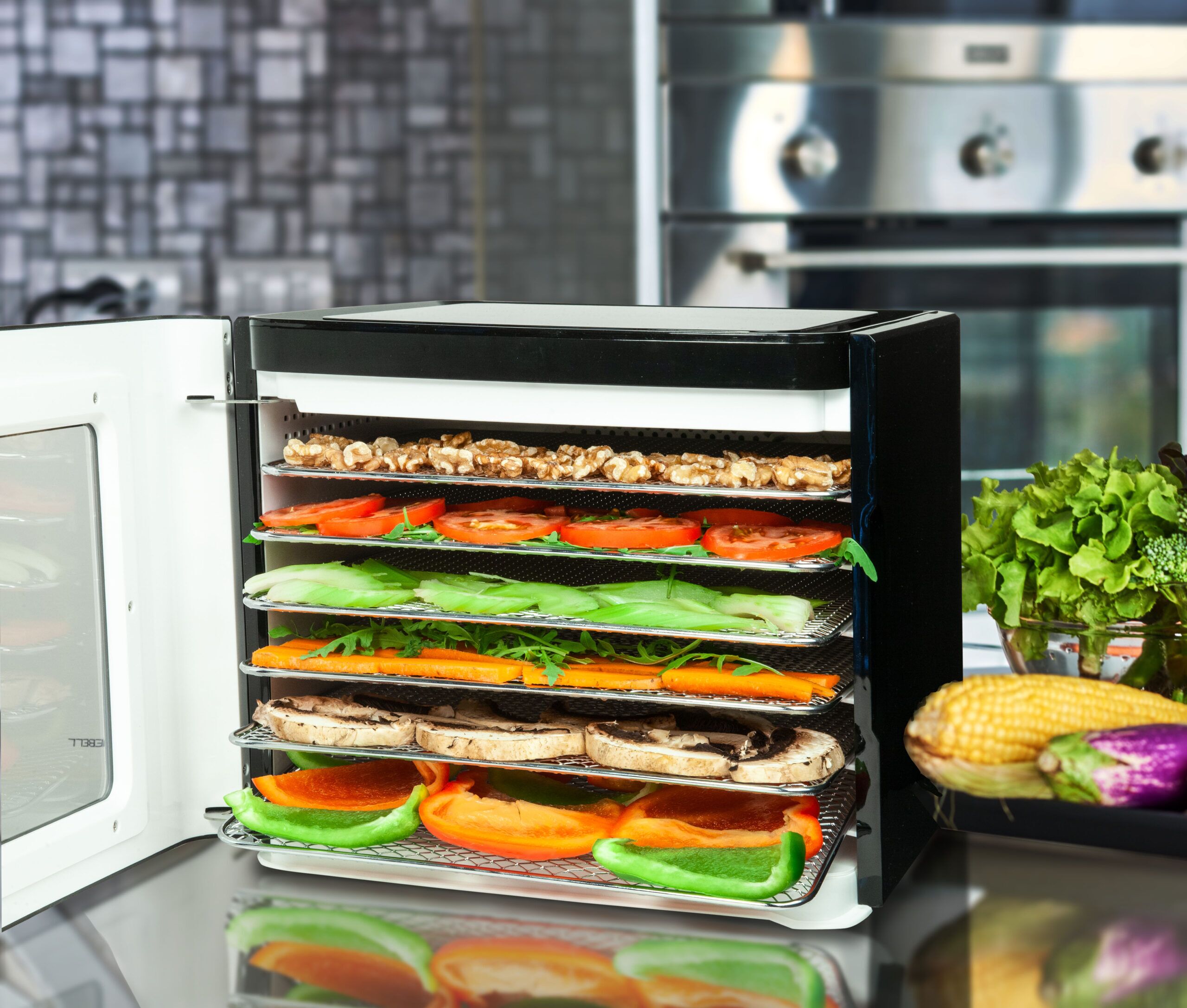 Nebula Food Dehydrator with 6 Stainless Steel Trays Nebula Food Dehydrator